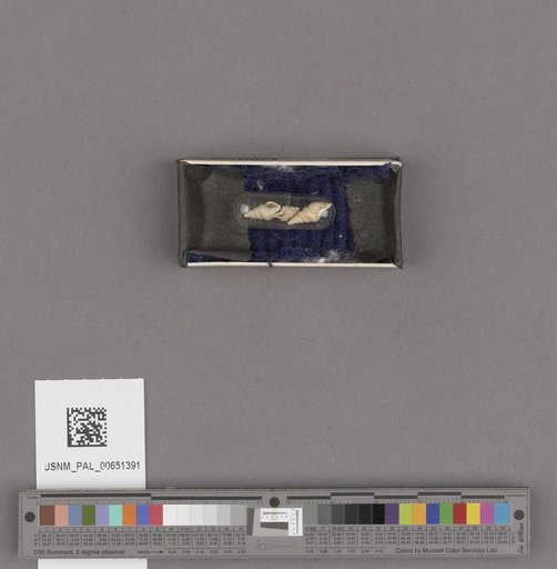 NSF ADBC EPICC TCN