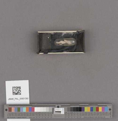NSF ADBC EPICC TCN