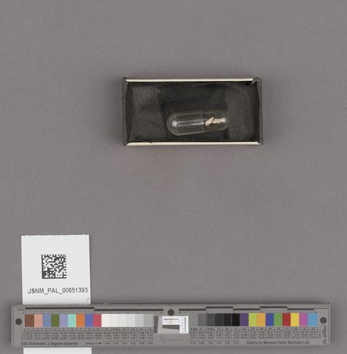 NSF ADBC EPICC TCN