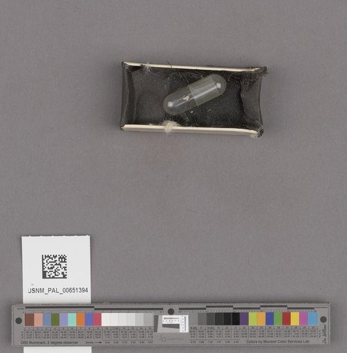 NSF ADBC EPICC TCN