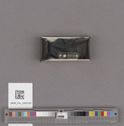 NSF ADBC EPICC TCN