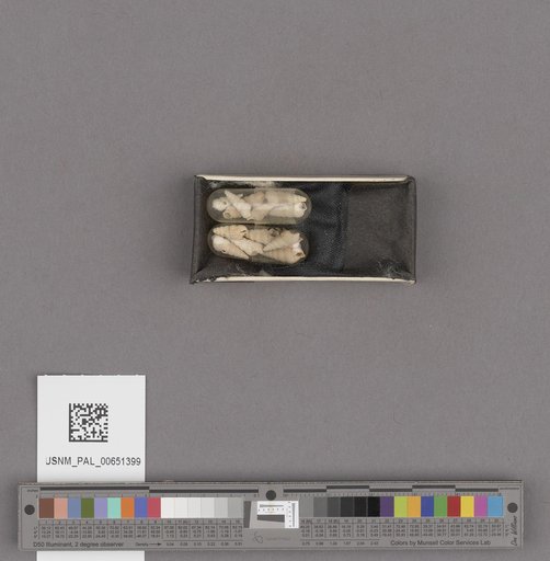 NSF ADBC EPICC TCN