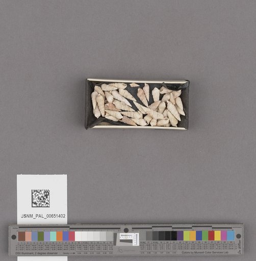 NSF ADBC EPICC TCN