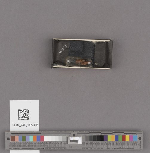 NSF ADBC EPICC TCN