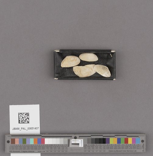 NSF ADBC EPICC TCN