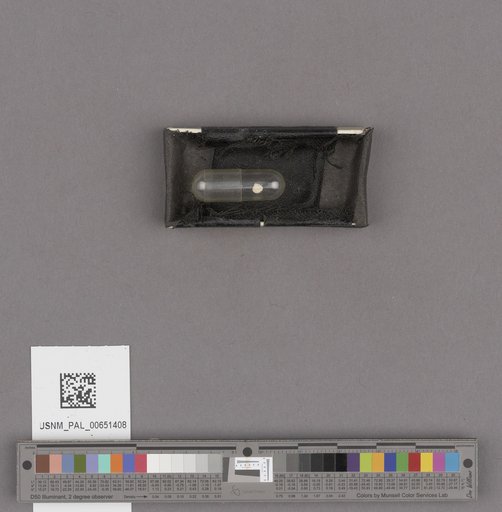 NSF ADBC EPICC TCN