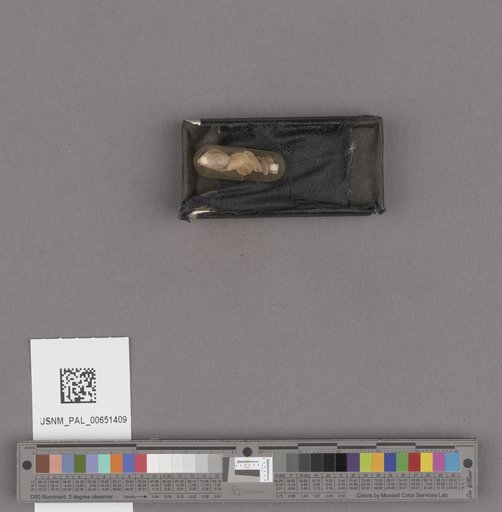 NSF ADBC EPICC TCN
