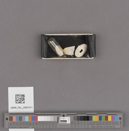 NSF ADBC EPICC TCN