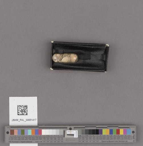 NSF ADBC EPICC TCN