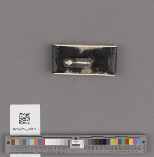 NSF ADBC EPICC TCN