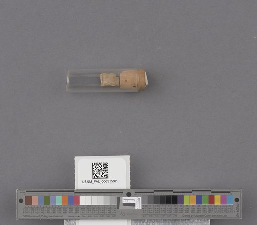 NSF ADBC EPICC TCN