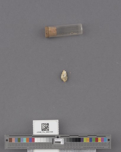 NSF ADBC EPICC TCN