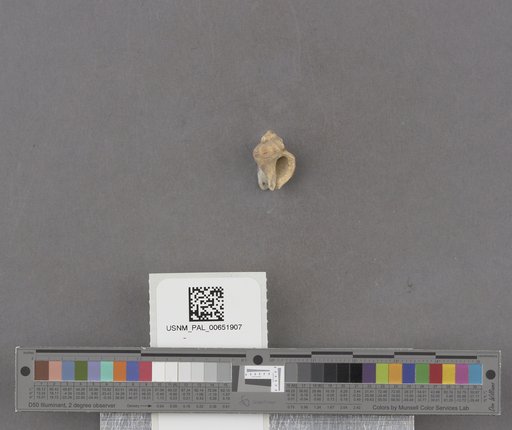 NSF ADBC EPICC TCN