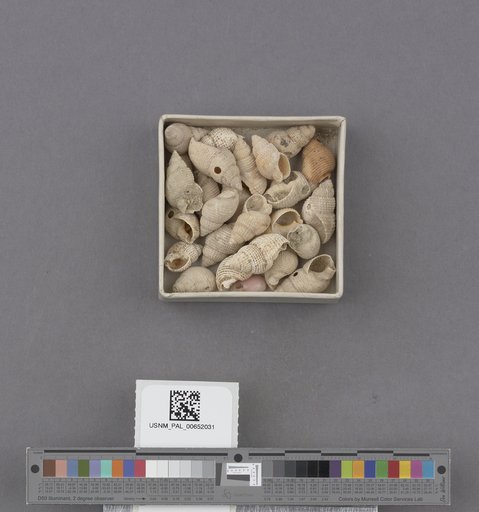 NSF ADBC EPICC TCN