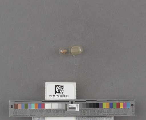 NSF ADBC EPICC TCN