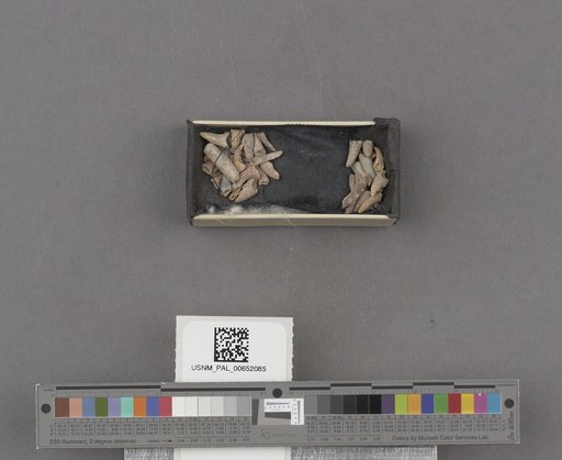 NSF ADBC EPICC TCN