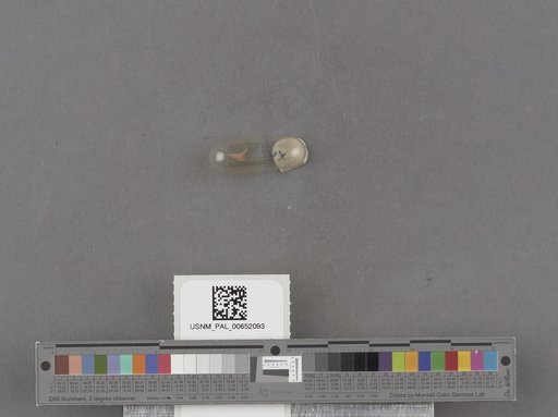 NSF ADBC EPICC TCN