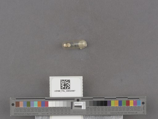NSF ADBC EPICC TCN