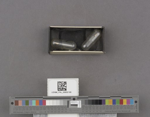 NSF ADBC EPICC TCN