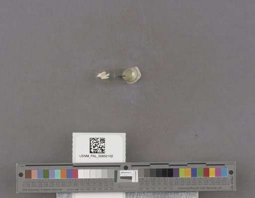 NSF ADBC EPICC TCN