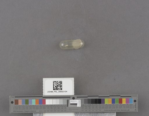 NSF ADBC EPICC TCN