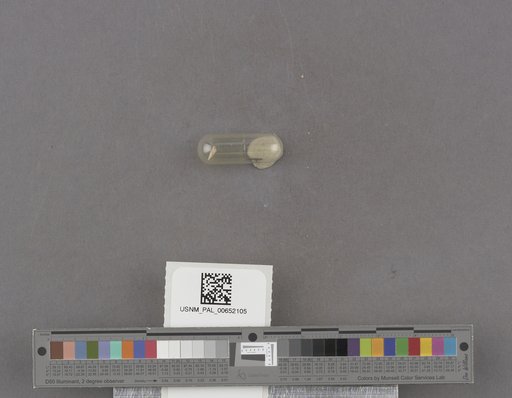 NSF ADBC EPICC TCN