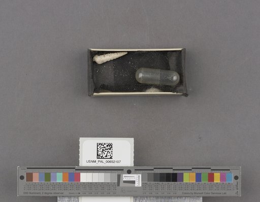 NSF ADBC EPICC TCN