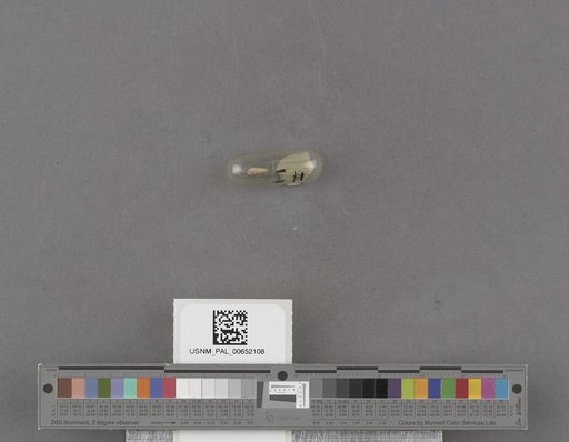 NSF ADBC EPICC TCN