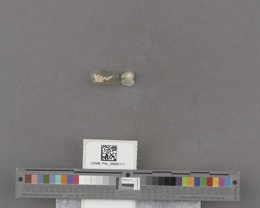NSF ADBC EPICC TCN