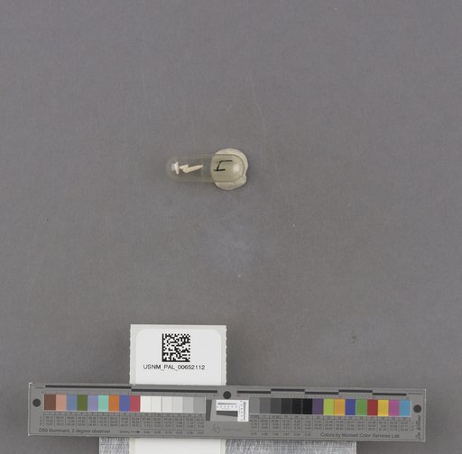 NSF ADBC EPICC TCN