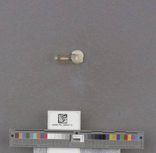 NSF ADBC EPICC TCN