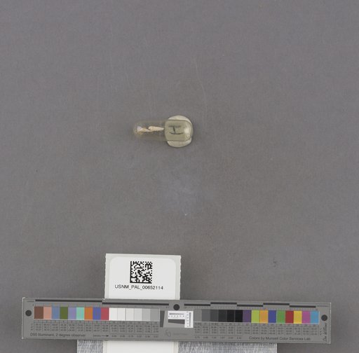 NSF ADBC EPICC TCN