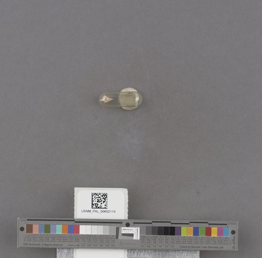 NSF ADBC EPICC TCN