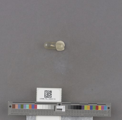 NSF ADBC EPICC TCN