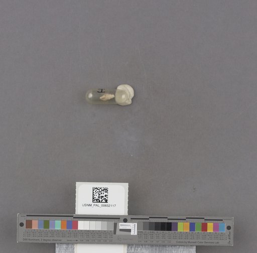 NSF ADBC EPICC TCN