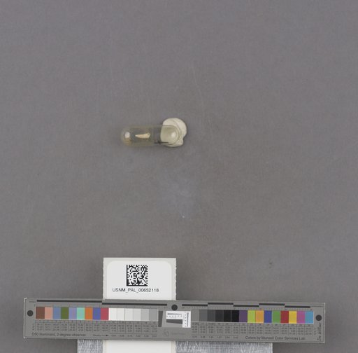 NSF ADBC EPICC TCN