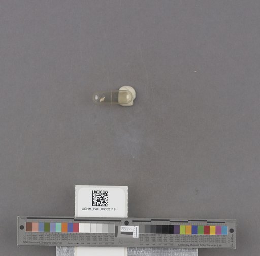 NSF ADBC EPICC TCN