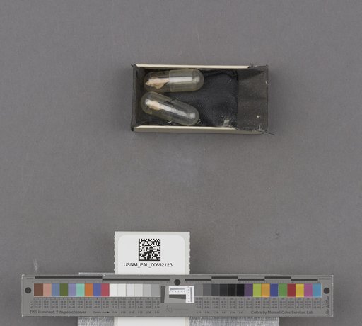 NSF ADBC EPICC TCN