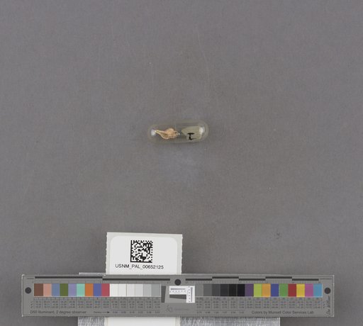 NSF ADBC EPICC TCN