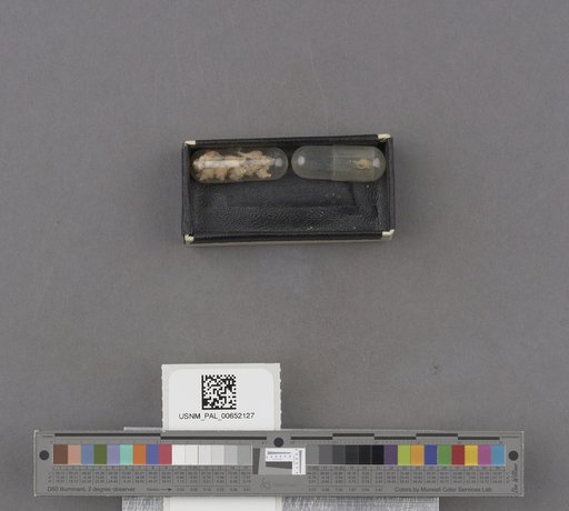 NSF ADBC EPICC TCN