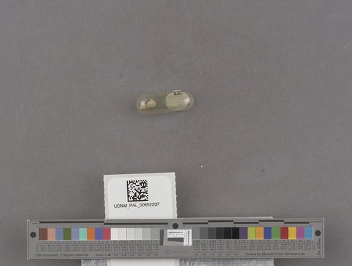 NSF ADBC EPICC TCN