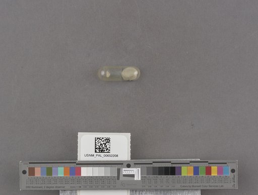 NSF ADBC EPICC TCN