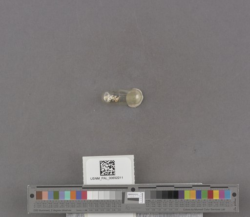 NSF ADBC EPICC TCN