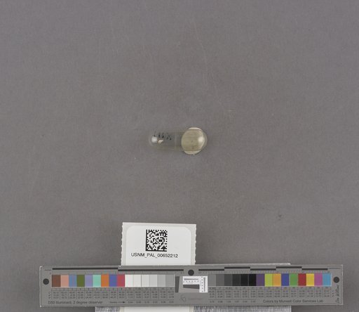 NSF ADBC EPICC TCN