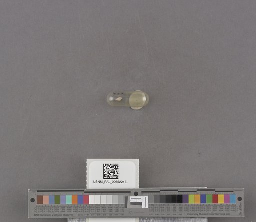 NSF ADBC EPICC TCN