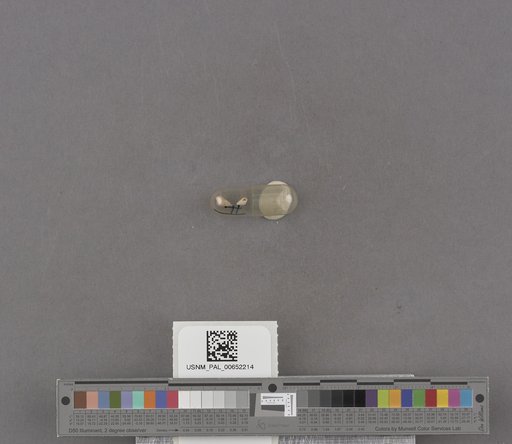 NSF ADBC EPICC TCN