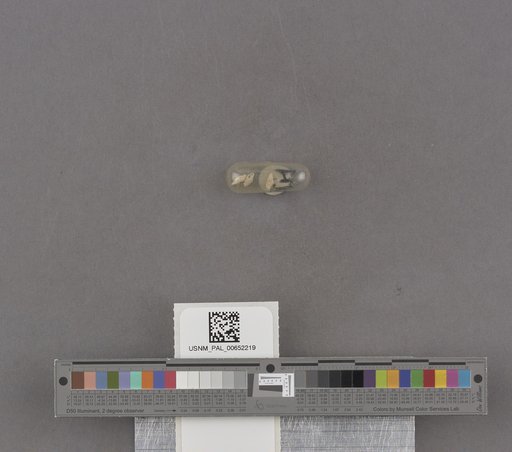 NSF ADBC EPICC TCN