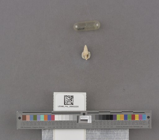 NSF ADBC EPICC TCN