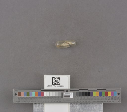 NSF ADBC EPICC TCN