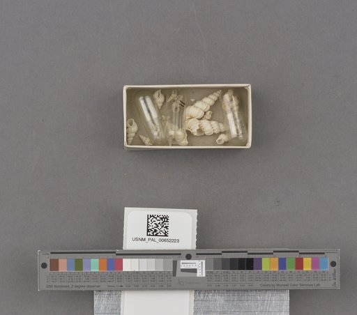 NSF ADBC EPICC TCN